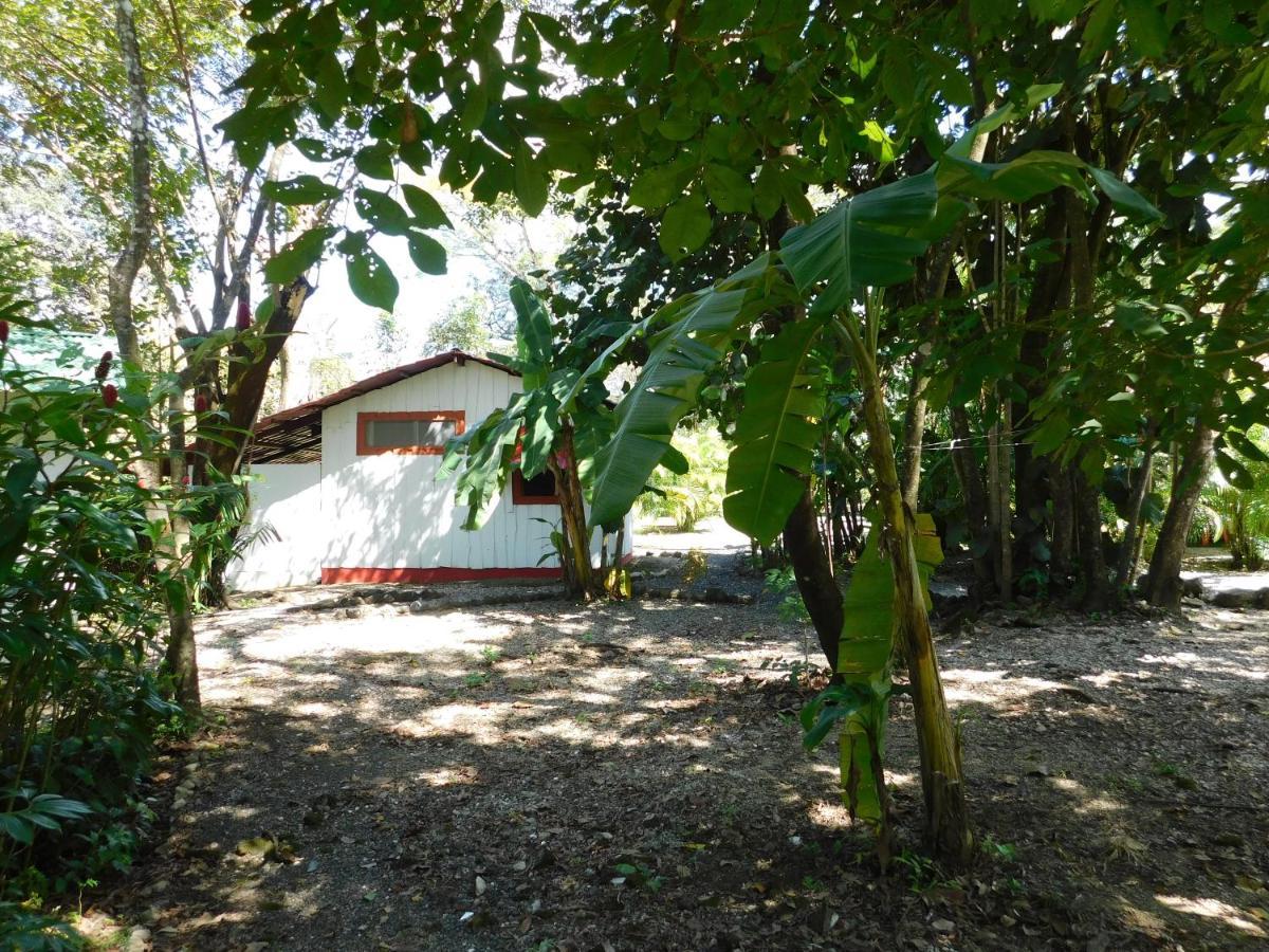Villasjungle 1 Sámara Extérieur photo